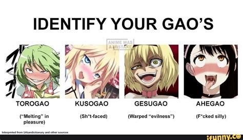 Identify Your Gaos Ii Torogao Kusogao Gesugao Ahegao Melting In Sh