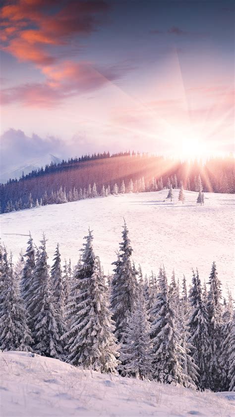 Dawn Winter Snow Sun Mountains Trees Iphone Wallpaper 1080x1920