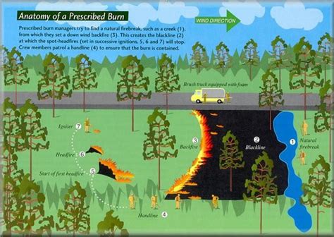 Goodfires How We Do It Protect Your Forest Wildland Fire Science