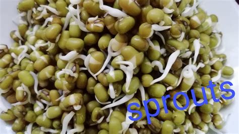 How To Prepare Sprouts At Home In Telugu Molakethina Ginjalu In Telugu