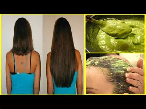 Nos cheveux poussent naturellement d'environ 1cm par mois. LE MEILLEUR SECRET INDIEN pour LA POUSSE RAPIDE des CHEVEUX/ FONCTIONNE A 100… | Pousse cheveux ...