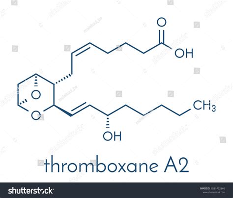 Thromboxane A2 Txa2 Molecule Skeletal Formula Vector De Stock Libre