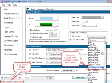 Using Enterprise Custom Fields From Microsoft Project For Version 5 3