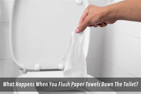 What Happens When You Flush Paper Towels Down The Toilet