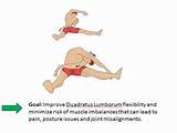 Lower Back Muscle Strengthening Exercises
