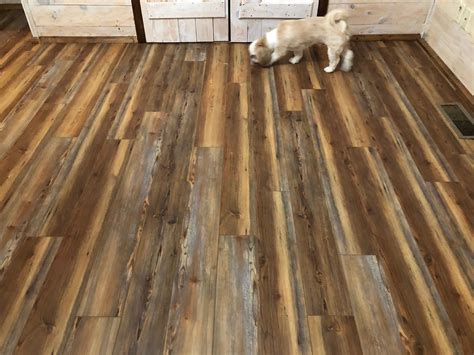 Pin By Rachel Terra On Farmhouse Wood Plank Floors Flooring Hardwood