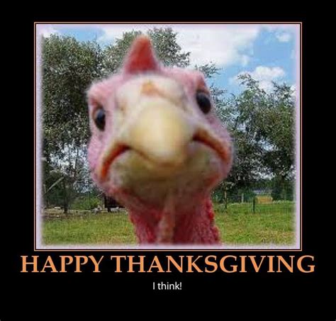51 best thanksgiving images on pinterest thanksgiving holiday happy thanksgiving and happy