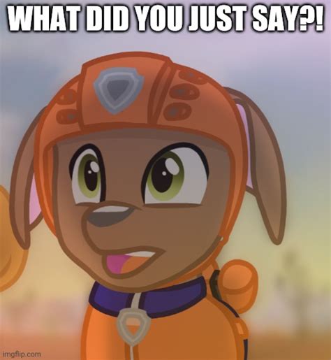 What Did You Just Say Zuma Paw Patrol By Rainbow Eevee Imgflip