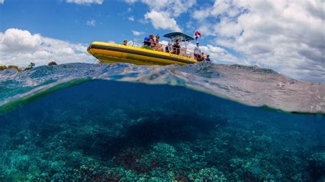 Swim With Sea Life When You Embark On A Snorkel Tour With Hanauma Bay