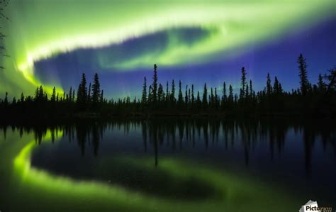The Aurora Borealis Reflects In The Clearwater River In Delta Junction
