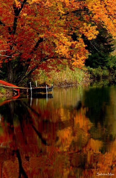 Breathtaking Autumn Scenery Scenery Autumn Scenes
