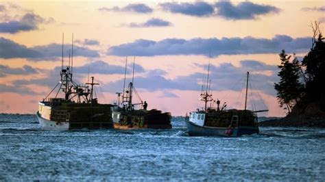 Lobster Season On Nova Scotias Southwest Coast Delayed By Bad Weather