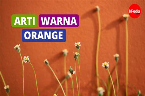 10 Arti Warna Orange Dalam Psikologi Yang Harus Di Ketahui Motivasi