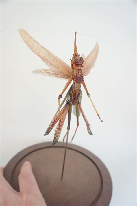 Cedric Laquieze Insect Art Fairy Art Skeleton Art