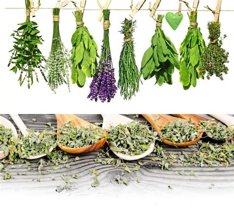 Converting Fresh Herbs To Dried Herbs