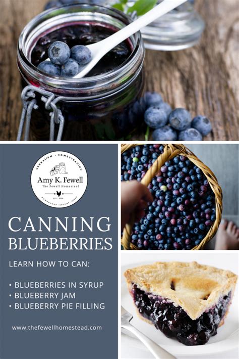 Canning Blueberries And Blueberry Pie Filling Amy K Fewell