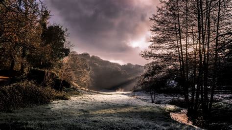Nature Landscape Morning Sunlight Creeks Forest Frost Clouds