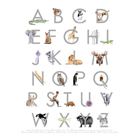 Large Alphabet Poster Framed Animal Alphabet Framed Etsy Animal