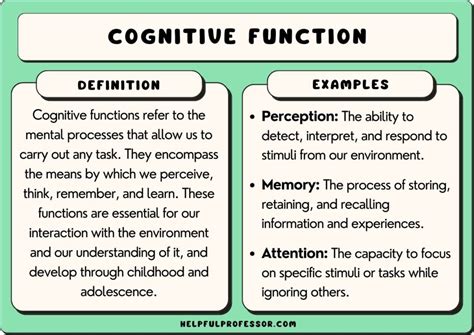 25 Cognitive Function Examples 2024