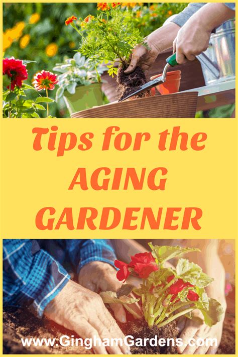 Benefits Of Gardening For Seniors Beautiful Flower Arrangements And