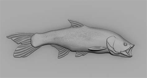 This tutorial has been prepared for the beginners to help them understand basic asp.net programming. 3D print model Jereh fish asp fish art | CGTrader