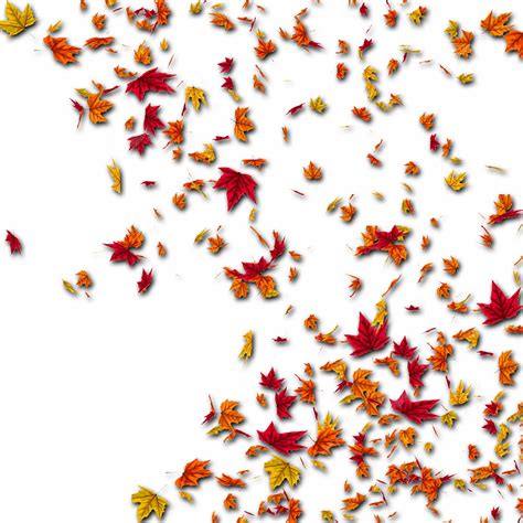 Falling Autumn Leaves Png Image The Falling Leaves Of Autumn