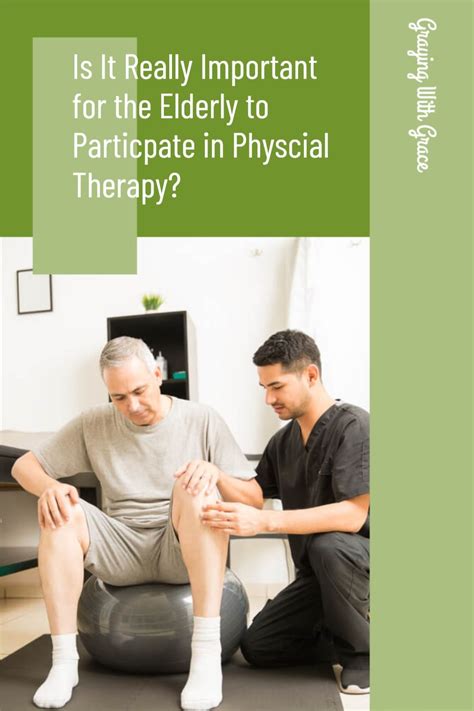 The Benefits And Importance Of Physical Therapy In Elderly Artofit