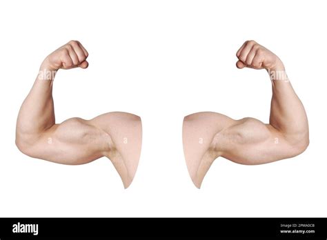 Cut Out Male Arms With Flexed Biceps Muscles Isolated On White Stock