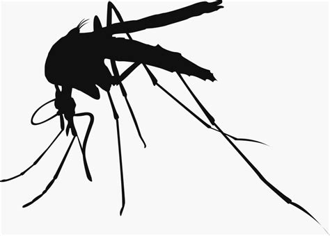 Malnutrition Malaria And The Mycobacterium Malaria Malaria Deaths In