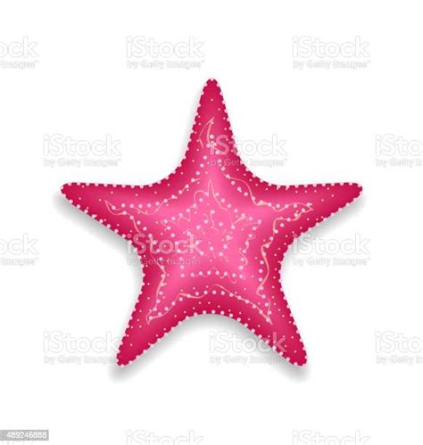 Pink Starfish Isolated On White Background Stock Illustration
