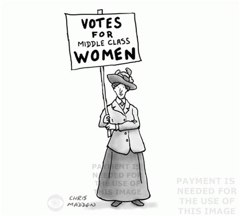 Suffragette Cartoon