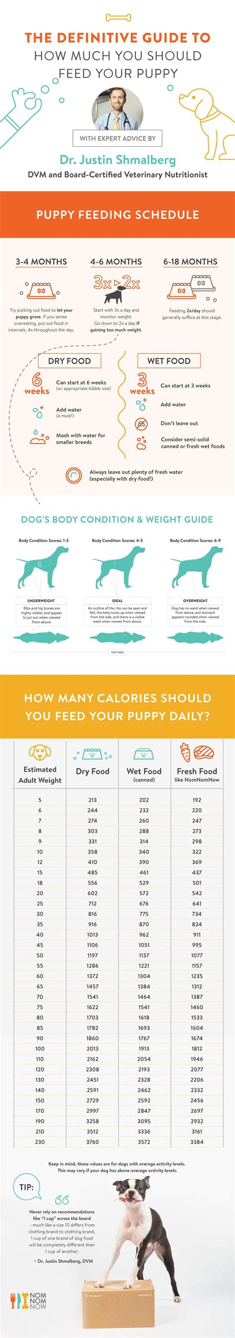 Offer ½ to 1 full cup of food at each meal. How Much Food Should A 55 Lb Dog Eat - DogWalls