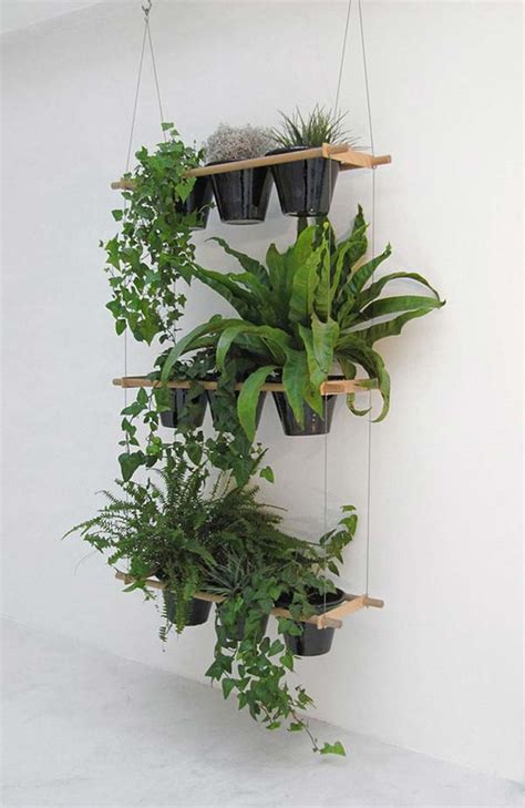 mini indoor garden ideas  green  home amazing diy interior