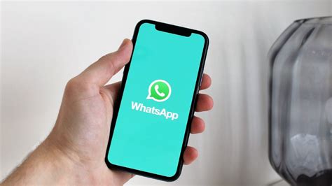 Whatsapp Cinco Funciones Que Desconocías De La Aplicación Mvs Noticias