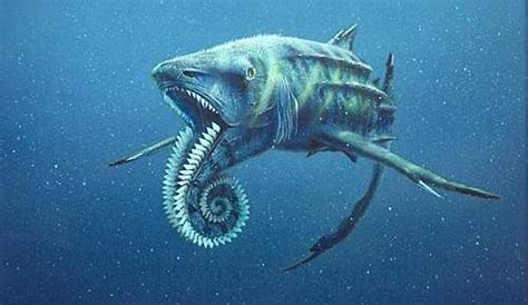 Sea Creatures Paleo Science