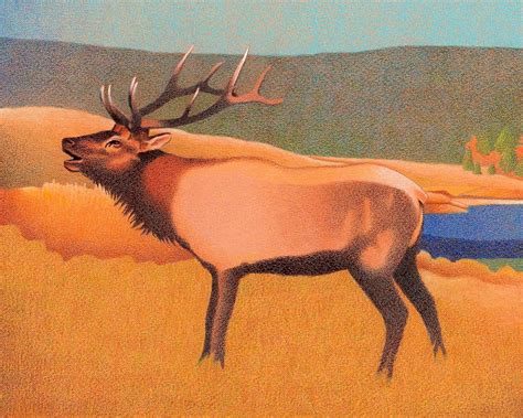 C $49.93 to c $124.83. Impression Evergreen: Bull Elk - Colored Pencil Drawing