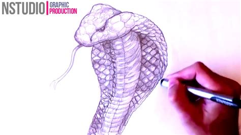 How To Draw A King Cobra Snake Step By Step Youtube