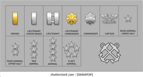 Army Officer Rank Insignia Isolated Vector Stock Vector Royalty Free