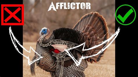 Advanced Turkey Shot Placement For Bowhunting Youtube
