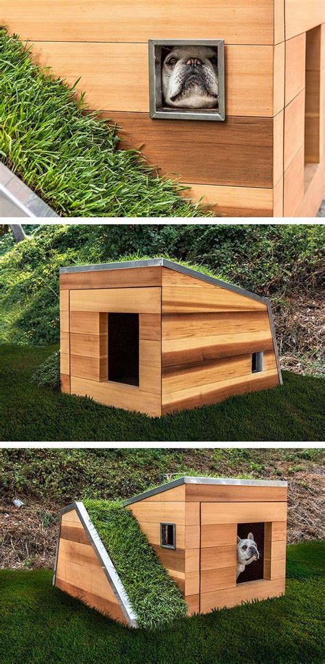 Doggy Dreamhouse Innovative Approach To Dog Shelters Icreatived