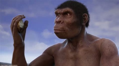 Evolution From Ape To Man From Proconsul To Homo Heidelbergensis Youtube