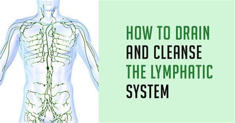 Lymphatic Drainage Massage Singapore Best For Weight Loss