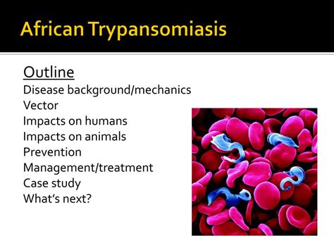 ppt african trypanosomiasis powerpoint presentation free download id 1999898