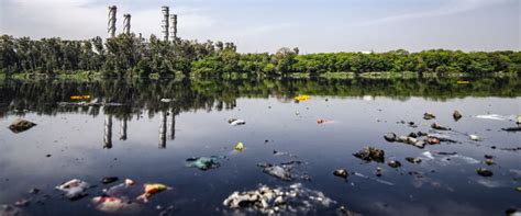 The 2019 kim kim river toxic pollution is a water pollution incident that occurred on 7 march 2019 caused by illegal chemical waste dumping at the kim kim river in pasir gudang of johor in malaysia. What Does Water Contamination Mean for the Environment ...