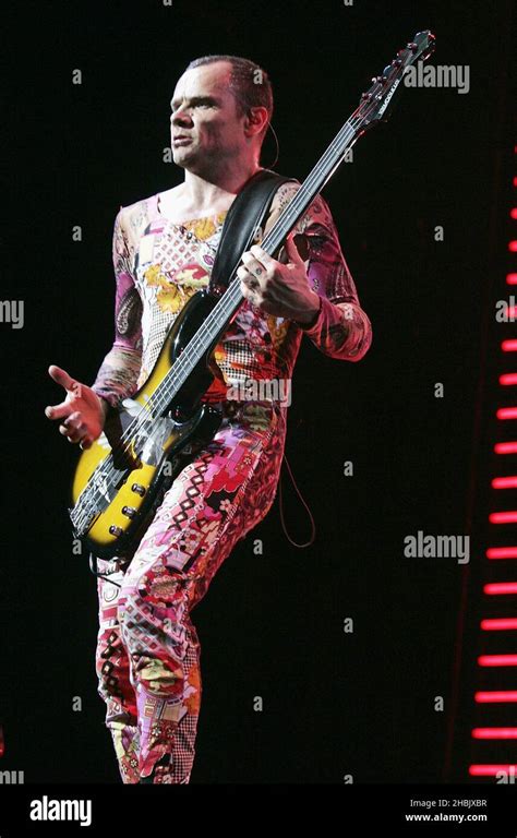 Flea Michael Balzary Of Red Hot Chili Peppers Live On Stage Stock