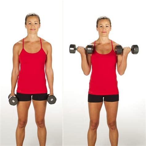 Sculpt And Strengthen Your Arms With This 3 Week Dumbbell Challenge