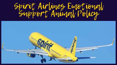 Southwest airlines' pet policy allows service and emotional support animals for customers with disabilities. Spirit Airlines Pet & Emotional Support Animal Policy