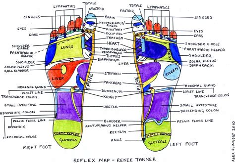 Reflexology Map Of The Feet Adrenal Glands Adrenals Beauty Tips