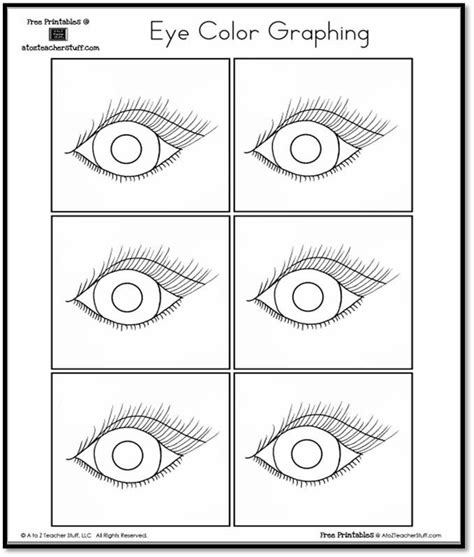 Eye Color Graphing Worksheet With Four Different Eyes And The Third One