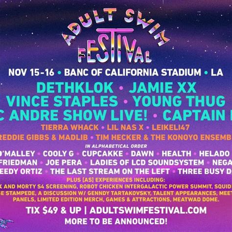 Adult Swim Festival Announces More Acts And Fan